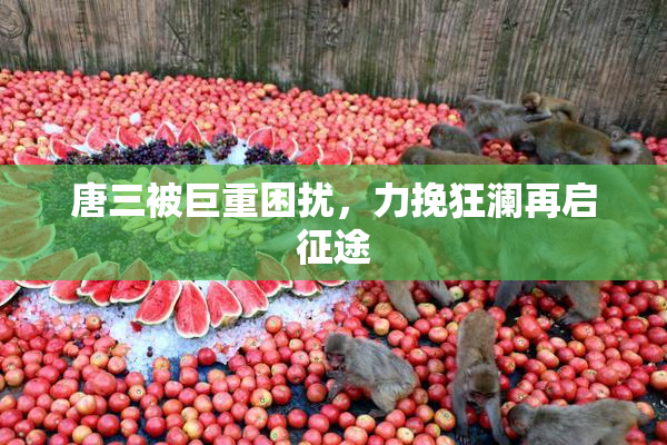 唐三被巨重困扰，力挽狂澜再启征途