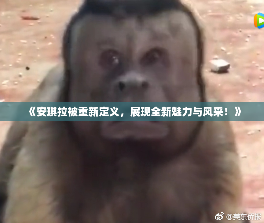 《安琪拉被重新定义，展现全新魅力与风采！》