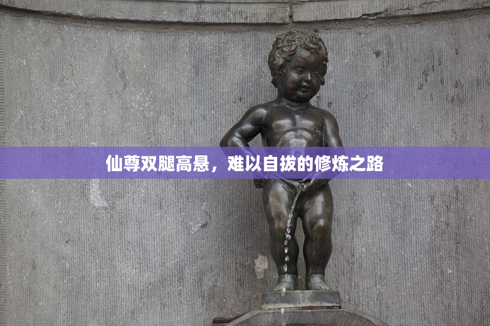 仙尊双腿高悬，难以自拔的修炼之路