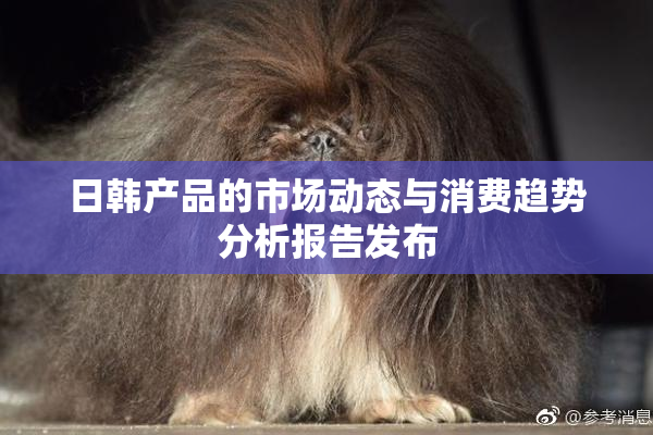 日韩产品的市场动态与消费趋势分析报告发布