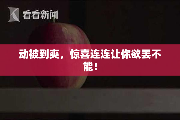 动被到爽，惊喜连连让你欲罢不能！