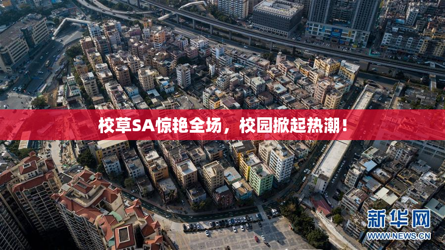 校草SA惊艳全场，校园掀起热潮！