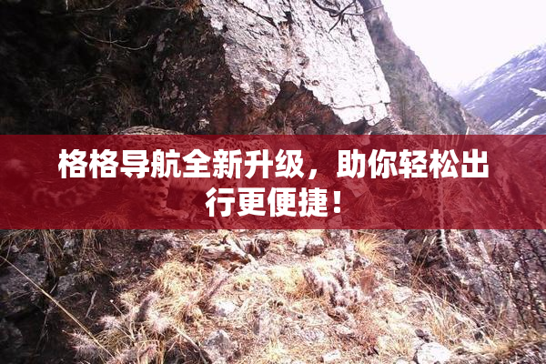 格格导航全新升级，助你轻松出行更便捷！