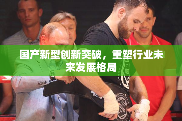 国产新型创新突破，重塑行业未来发展格局