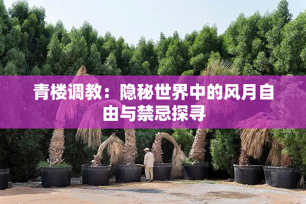 青楼调教：隐秘世界中的风月自由与禁忌探寻
