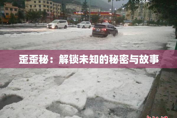 歪歪秘：解锁未知的秘密与故事
