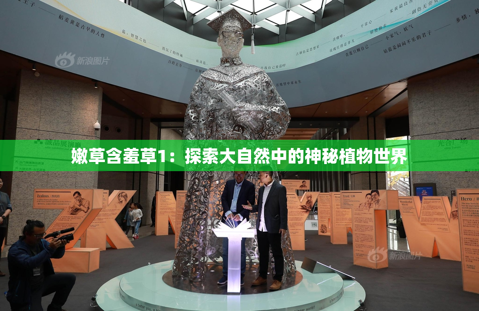 嫩草含羞草1：探索大自然中的神秘植物世界