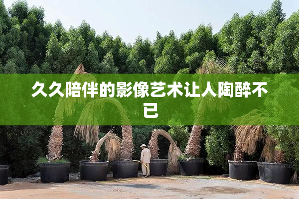久久陪伴的影像艺术让人陶醉不已