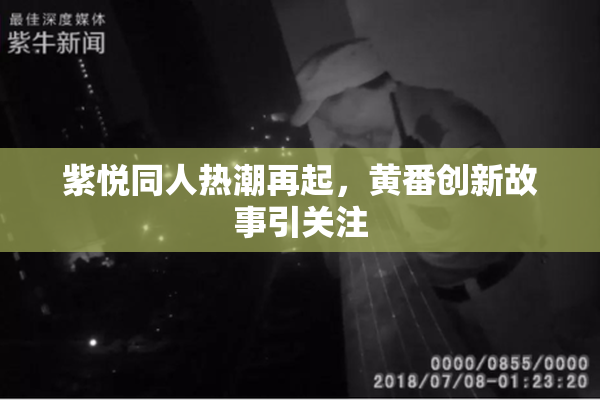 紫悦同人热潮再起，黄番创新故事引关注