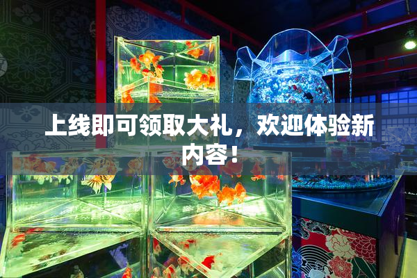 上线即可领取大礼，欢迎体验新内容！