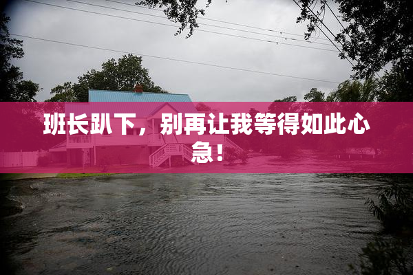 班长趴下，别再让我等得如此心急！