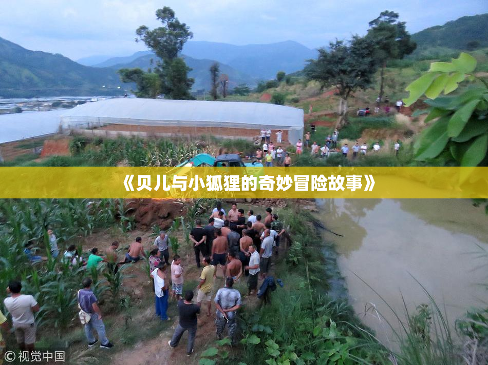 《贝儿与小狐狸的奇妙冒险故事》