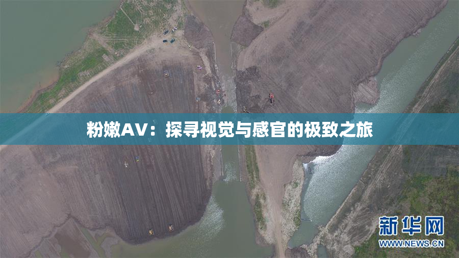 粉嫩AV：探寻视觉与感官的极致之旅