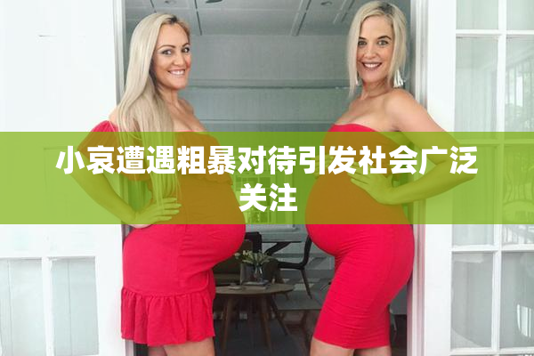 小哀遭遇粗暴对待引发社会广泛关注