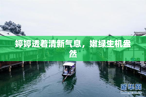 婷婷透着清新气息，嫩绿生机盎然