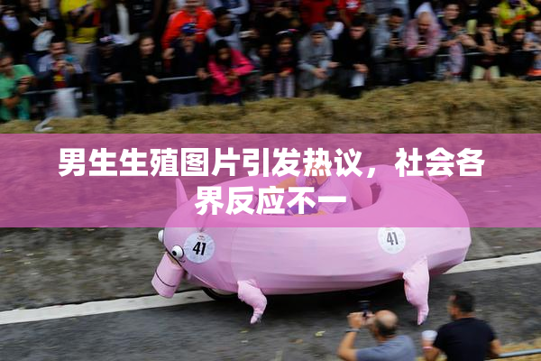 男生生殖图片引发热议，社会各界反应不一