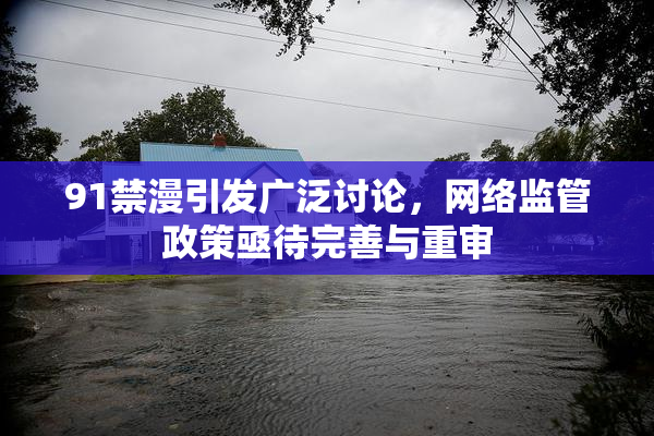 91禁漫引发广泛讨论，网络监管政策亟待完善与重审