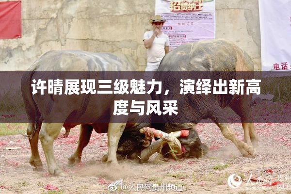 许晴展现三级魅力，演绎出新高度与风采