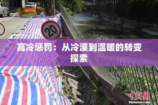 高冷惩罚：从冷漠到温暖的转变探索