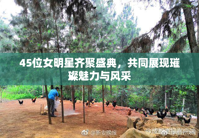 45位女明星齐聚盛典，共同展现璀璨魅力与风采