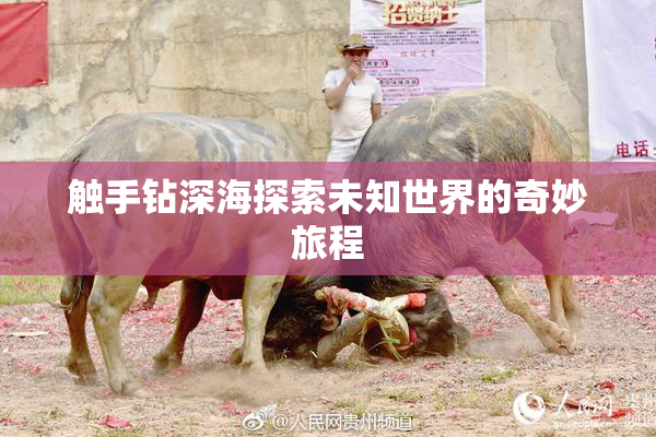 触手钻深海探索未知世界的奇妙旅程