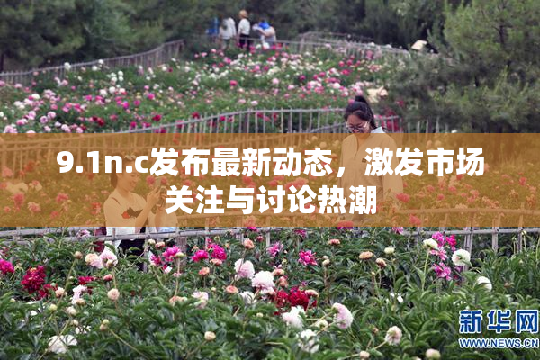 9.1n.c发布最新动态，激发市场关注与讨论热潮