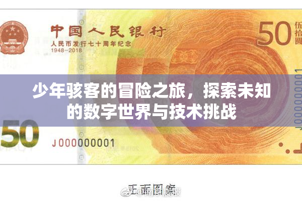 少年骇客的冒险之旅，探索未知的数字世界与技术挑战