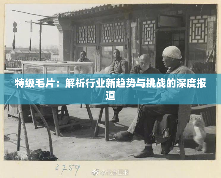 特级毛片：解析行业新趋势与挑战的深度报道