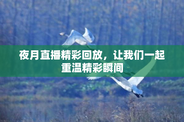 夜月直播精彩回放，让我们一起重温精彩瞬间