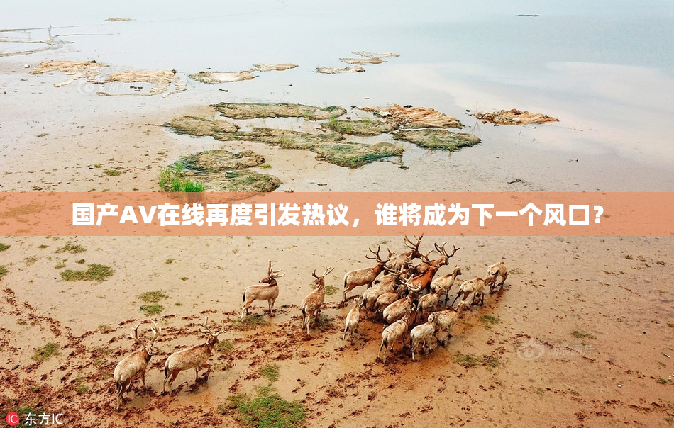 国产AV在线再度引发热议，谁将成为下一个风口？
