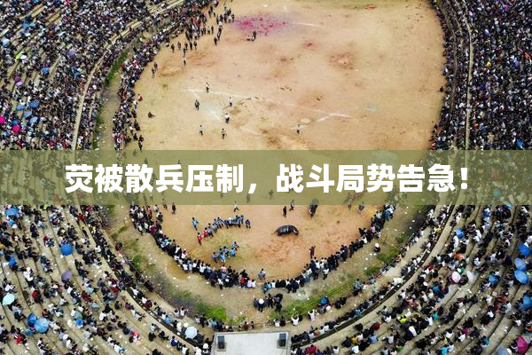 荧被散兵压制，战斗局势告急！