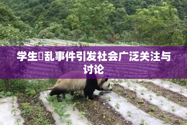 学生婬乱事件引发社会广泛关注与讨论
