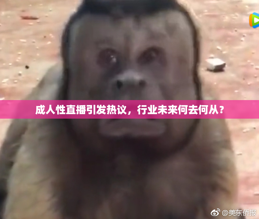 成人性直播引发热议，行业未来何去何从？