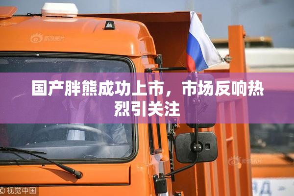 国产胖熊成功上市，市场反响热烈引关注