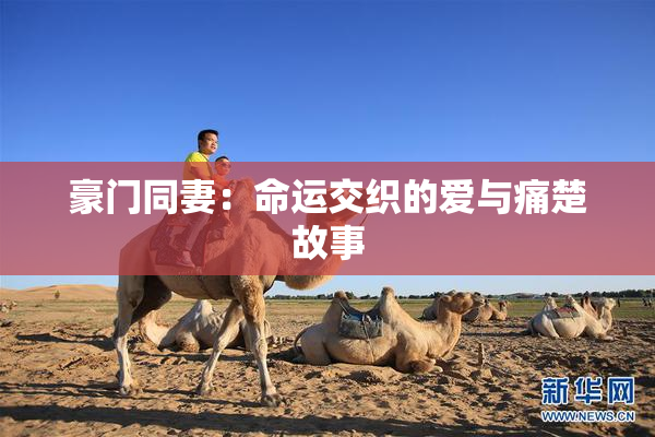 豪门同妻：命运交织的爱与痛楚故事