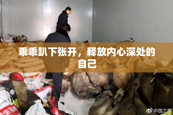 乖乖趴下张开，释放内心深处的自己