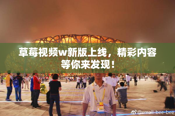 草莓视频w新版上线，精彩内容等你来发现！