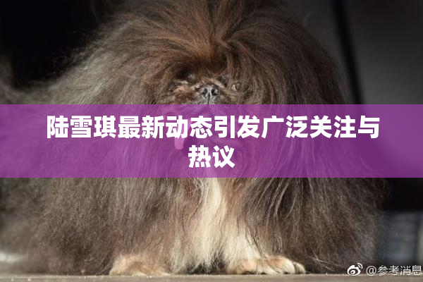 陆雪琪最新动态引发广泛关注与热议