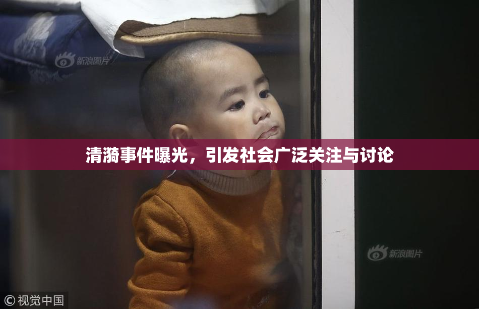 清漪事件曝光，引发社会广泛关注与讨论