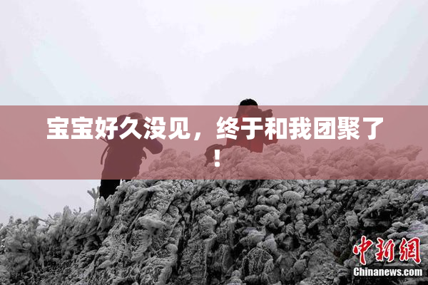 宝宝好久没见，终于和我团聚了！