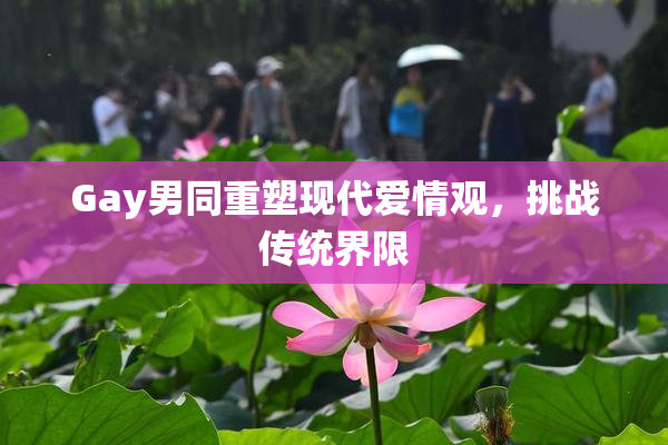 Gay男同重塑现代爱情观，挑战传统界限