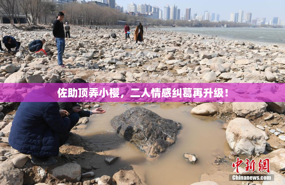 佐助顶弄小樱，二人情感纠葛再升级！