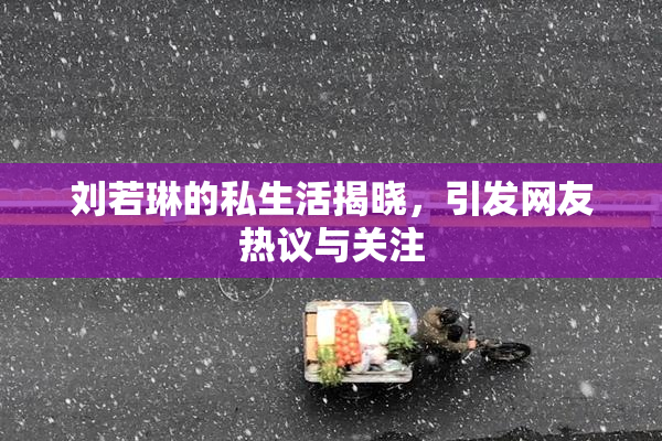 刘若琳的私生活揭晓，引发网友热议与关注