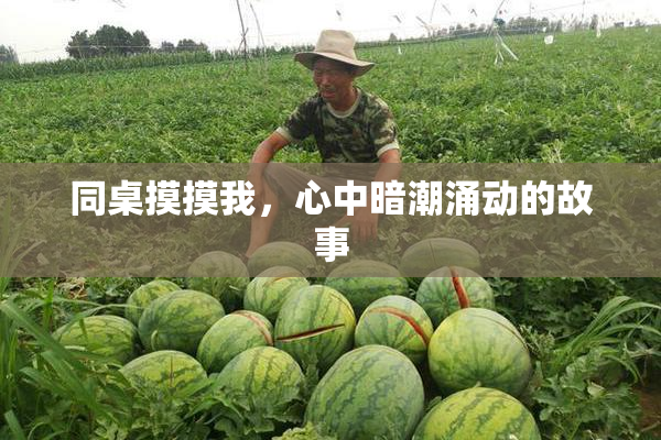 同桌摸摸我，心中暗潮涌动的故事