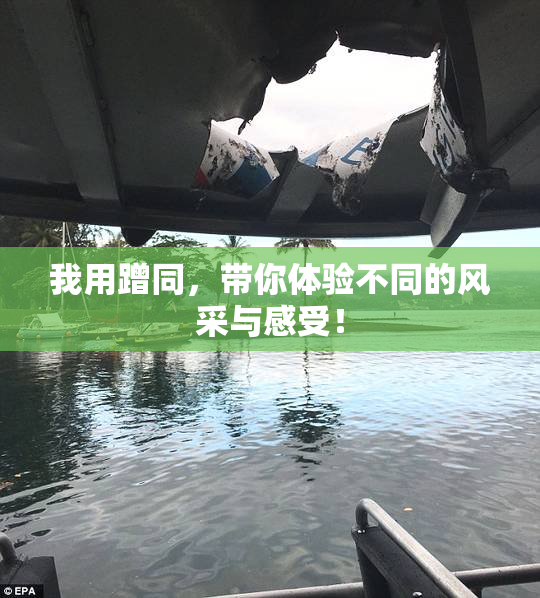 我用蹭同，带你体验不同的风采与感受！
