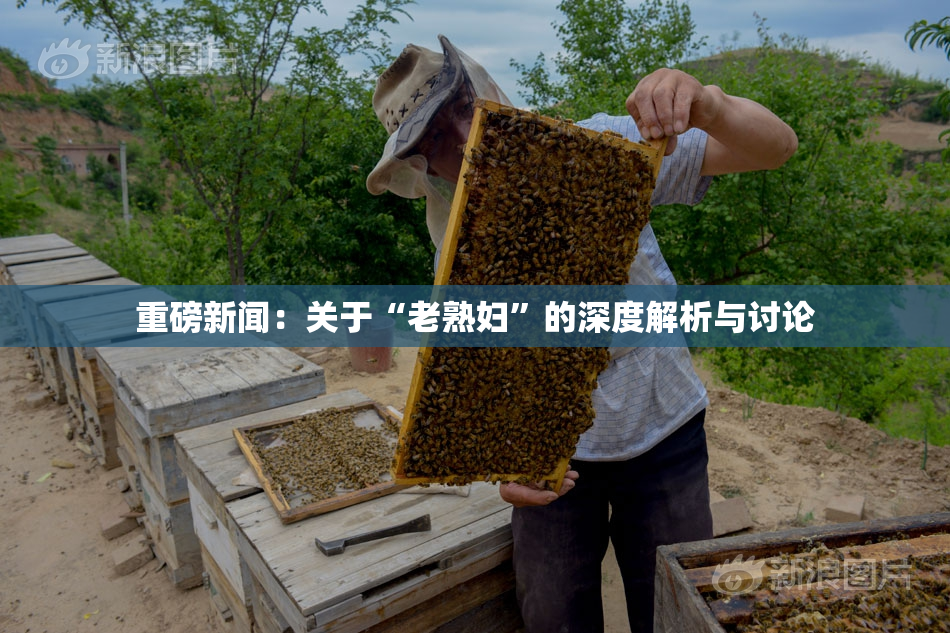 重磅新闻：关于“老熟妇”的深度解析与讨论