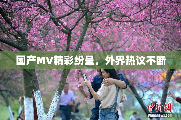 国产MV精彩纷呈，外界热议不断