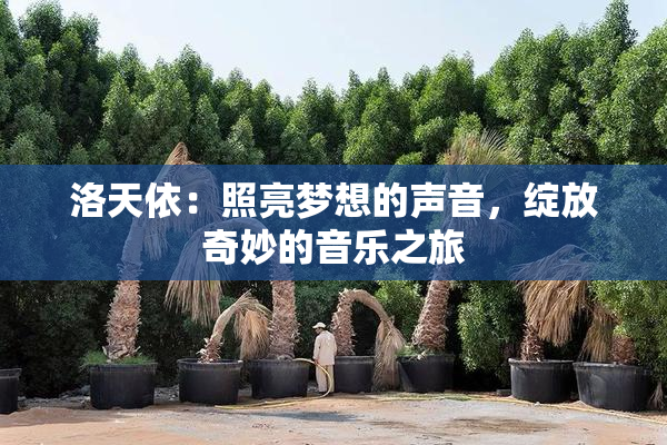洛天依：照亮梦想的声音，绽放奇妙的音乐之旅
