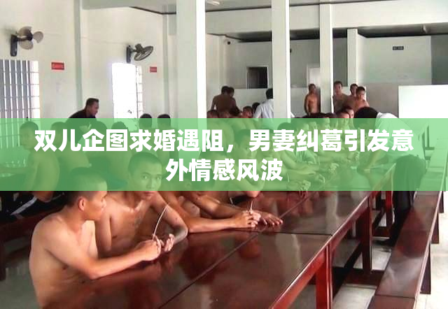 双儿企图求婚遇阻，男妻纠葛引发意外情感风波