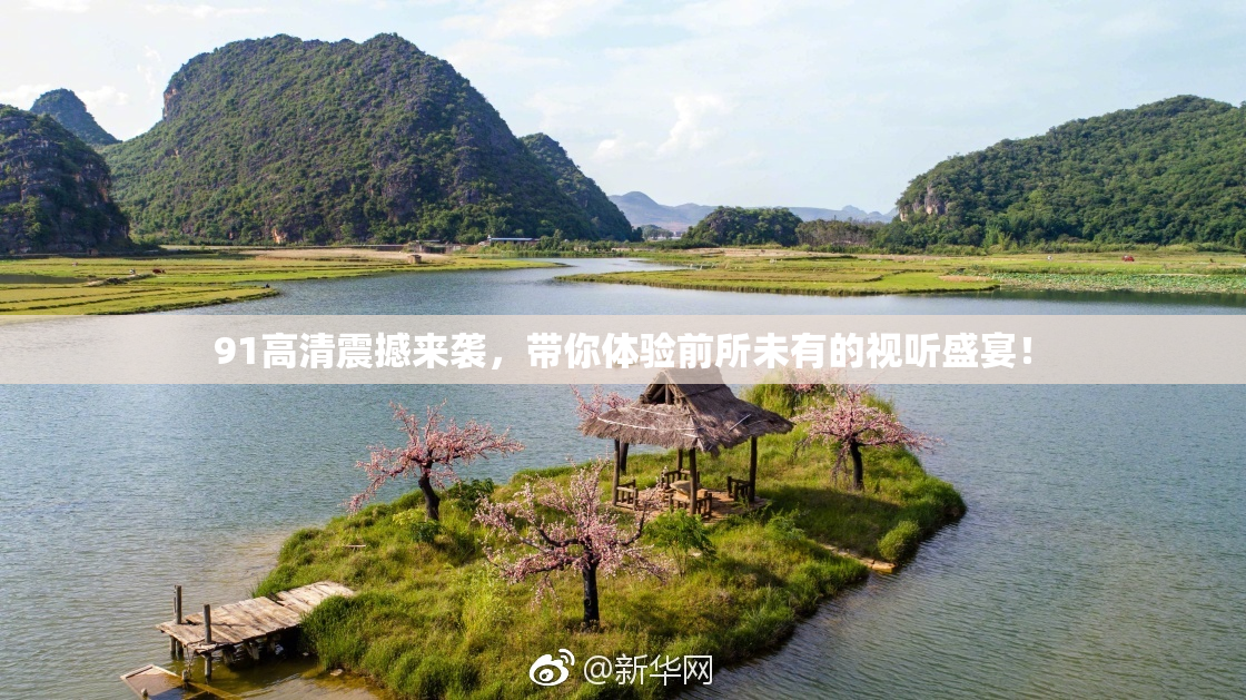 91高清震撼来袭，带你体验前所未有的视听盛宴！